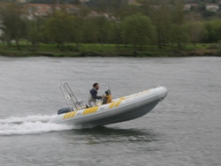 Neuvisa Tarpon AD46